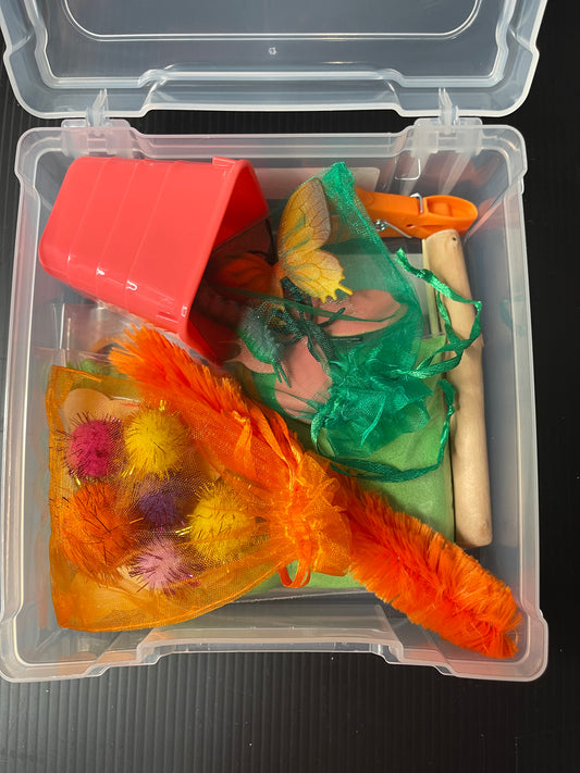 Butterfly Sensory Kit