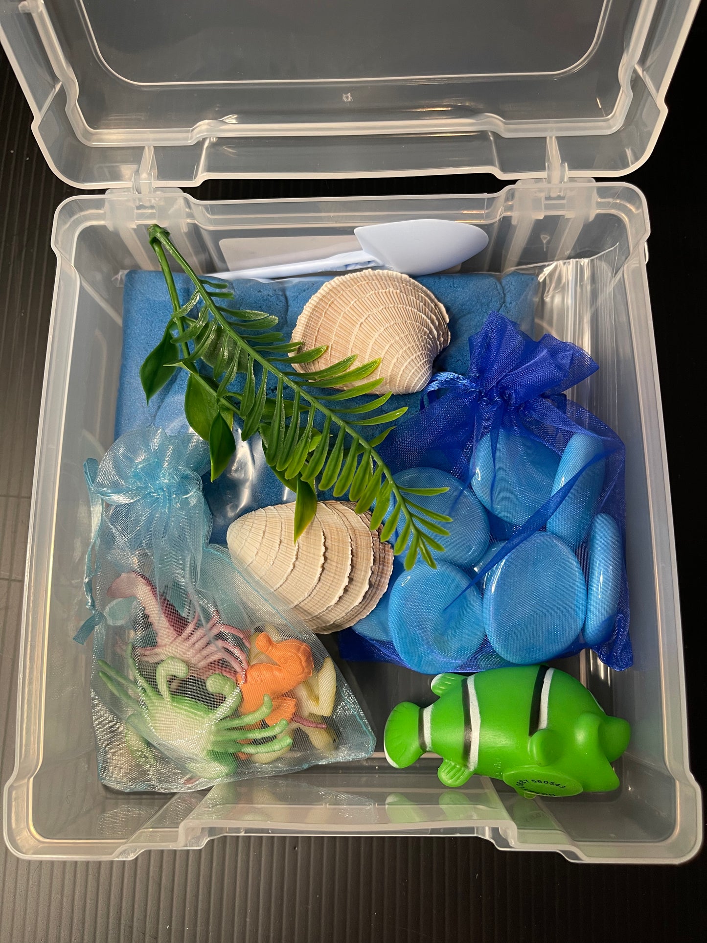 Ocean Sensory Kit