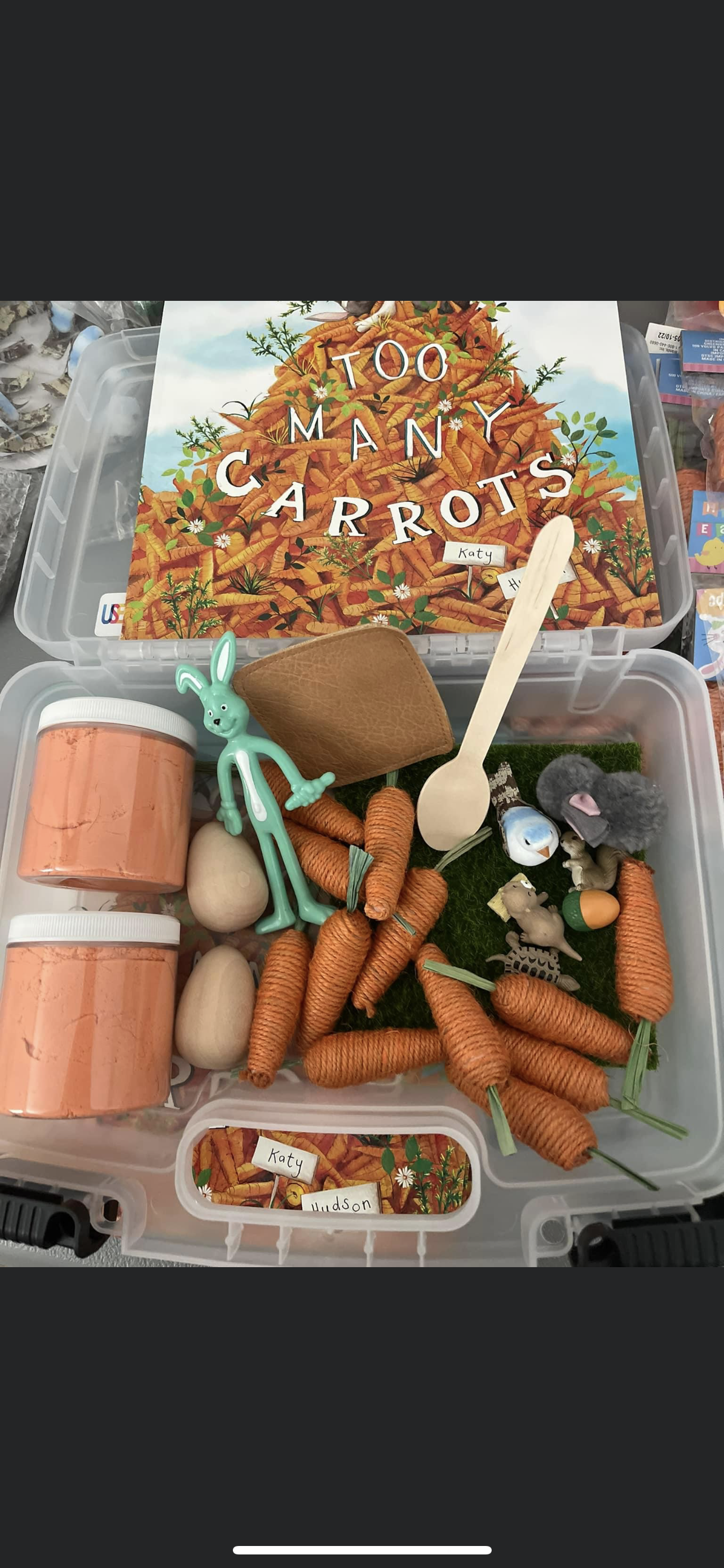 Too Many Carrots-Large Sensory Kit